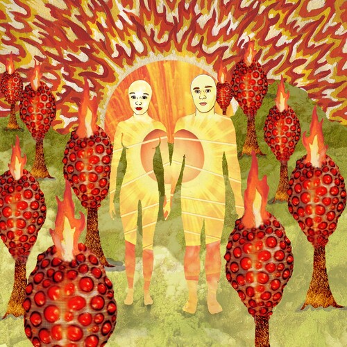 Of Montreal - The Sunlandic Twins - Red Vinyl