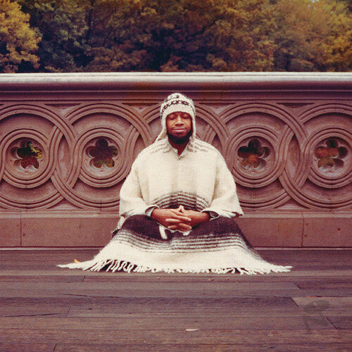 Laraaji - Segue to Infinity - Vinyl