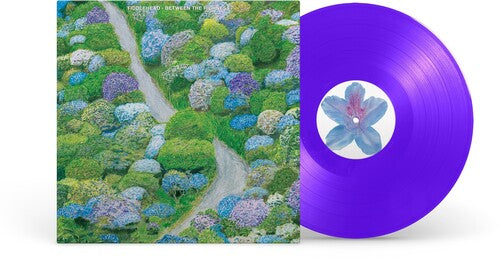 Fiddlehead - Between the Richness - Purple Color Vinyl