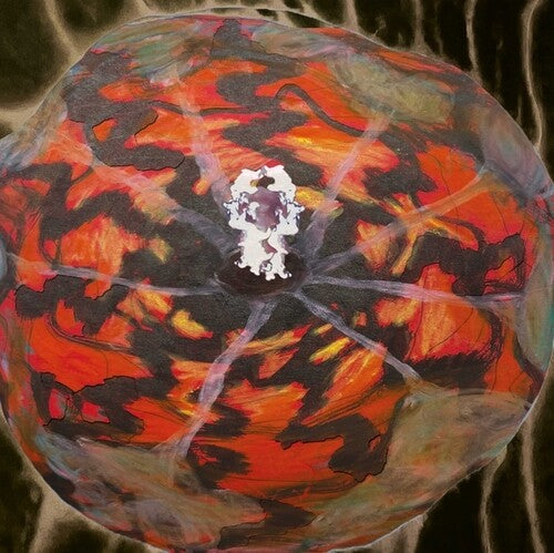 Spectacle of Light Abductions 2 - Music For The Paintings Of Vedran Kopljar - Vinyl