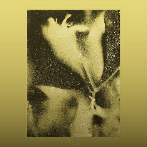 Flying Lotus - 1983 - Vinyl