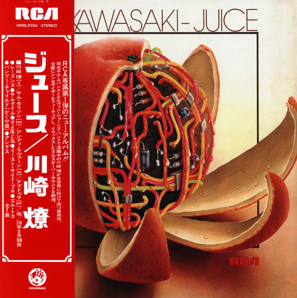 Ryo Kawasaki - Juice - Vinyl