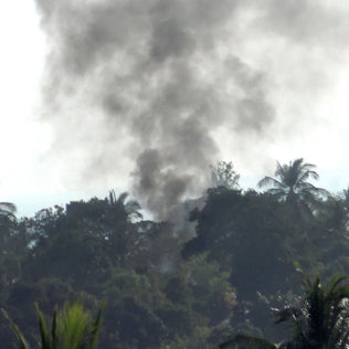 Drain Gang - Trash Island - Vinyl