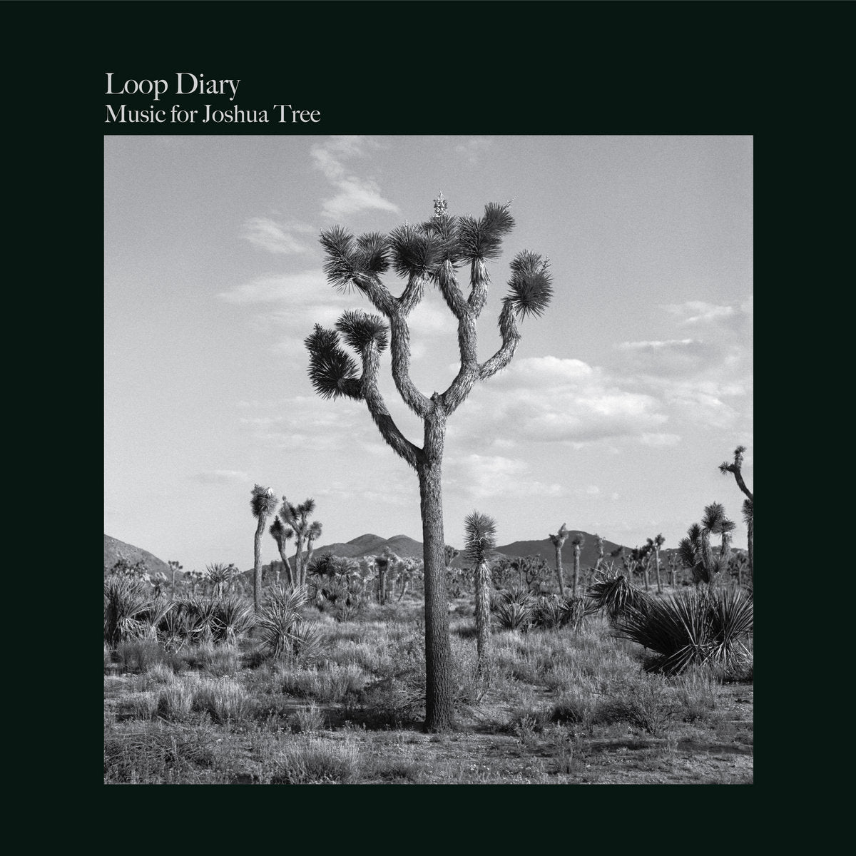 Loop Diary - Music for Joshua Tree