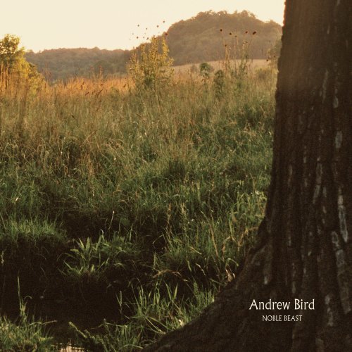 Andrew Bird - Noble Beast - Vinyl