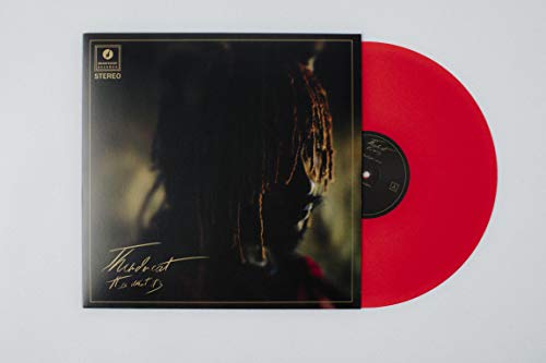 Thundercat - It Is What It Is (Colored Vinyl, Red, 140 Gram Vinyl, Photos) - Vinyl
