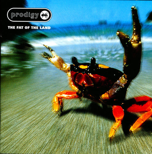 Prodigy - Fat of the Land - Vinyl