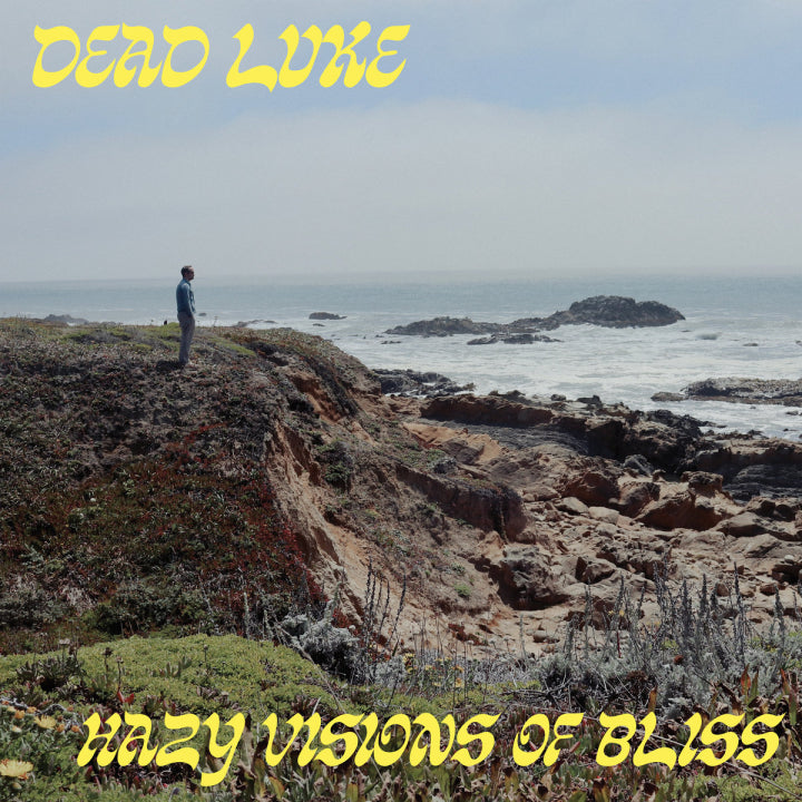 Dead Luke - Hazy Visions of Bliss - Vinyl