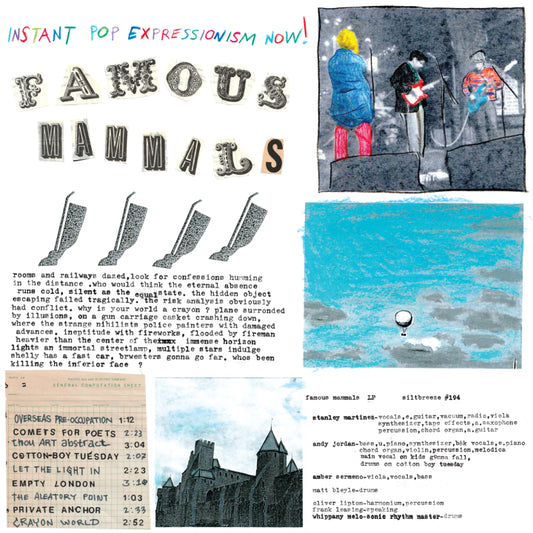 Famous Mammals - Instant Pop Expressionism Now! - Vinyl