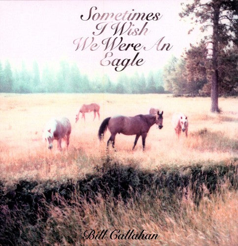 Bill Callahan - Sometimes I Wish I Were An Eagle - Vinyl