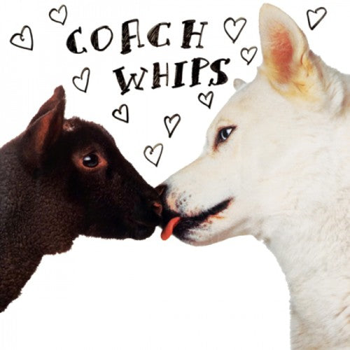 Coachwhips - Bangers vs. Fuckers - Vinyl