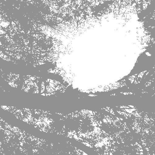 Comets on Fire - Field Recordings from the Sun - Vinyl