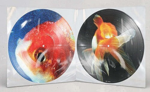 Vince Staples - Big Fish Theory - Picture Disc Vinyl