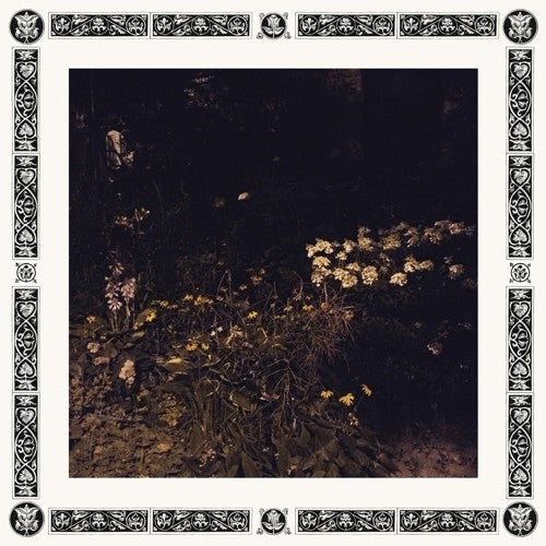 Sarah Davachi - Pale Bloom - Vinyl