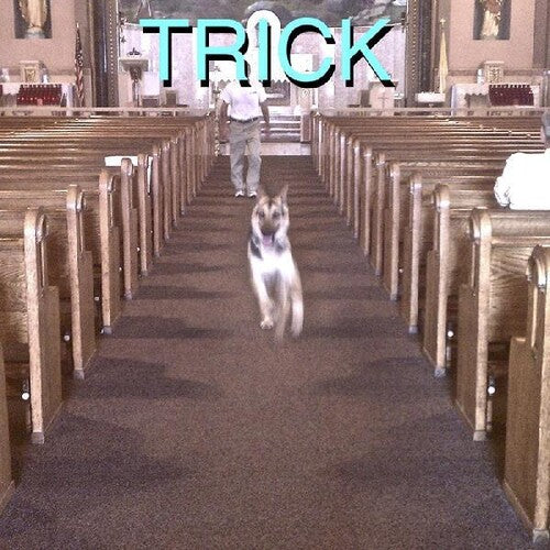 Alex G - Trick - Vinyl