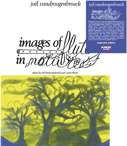 Joel Vandroogenbroeck - Images Of Flute In Nature - Vinyl