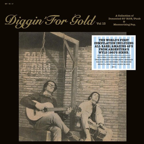 Various - Diggin' For Gold Vol. 13 - Vinyl