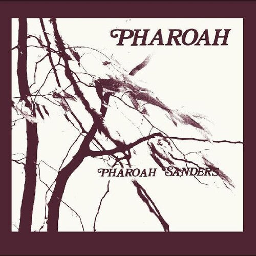 Pharoah Sanders - Pharoah  [4 LP Box Set] - Vinyl