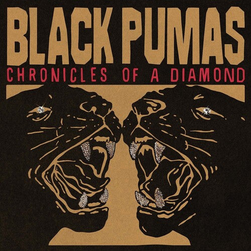 Black Pumas - Chronicles of a Diamond - Vinyl