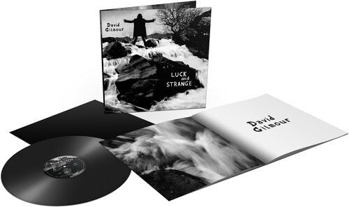 David Gilmour - Luck and Strange - Vinyl