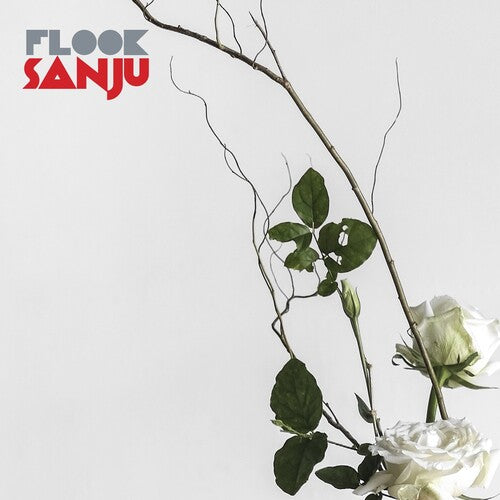 Flook - Sanju - Vinyl