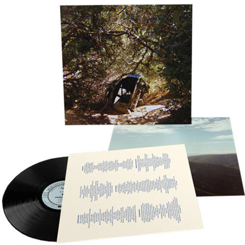 Ty Segall - Possession - Vinyl
