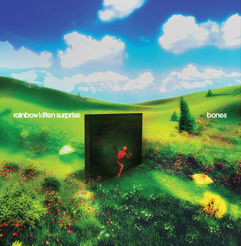 Rainbow Kitten Surprise - bones - IEX Banana Color Vinyl