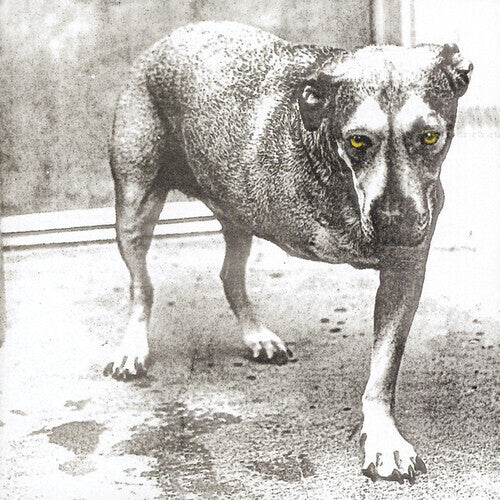 Alice in Chains - Alice in Chains - Vinyl