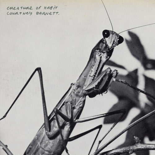 Courtney Barnett - Creature of Habit - Vinyl