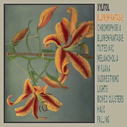 Xylitol - Blumenfantasie - Vinyl