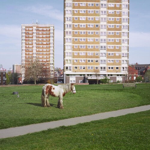 Westside Cowboy - It Goes On - Vinyl
