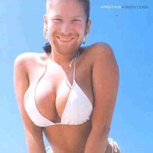 Aphex Twin - Windowlicker - Vinyl