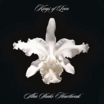 Kings of Leon - Aha Shake Heartbreak(180-gram) [Import] (2 Lp's) - Vinyl