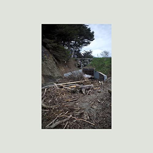 Mac DeMarco - Five Easy Hot Dogs [LP] - Vinyl