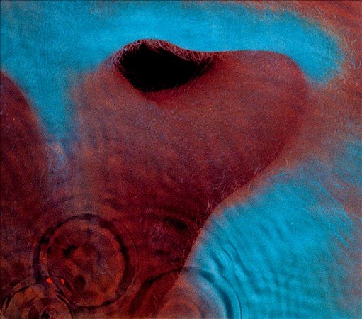 Pink Floyd - Meddle (Gatefold LP Jacket, 180 Gram Vinyl) - Vinyl