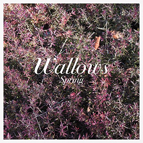 Wallows - Spring - Vinyl